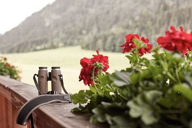 Balcony with view int the greenery I